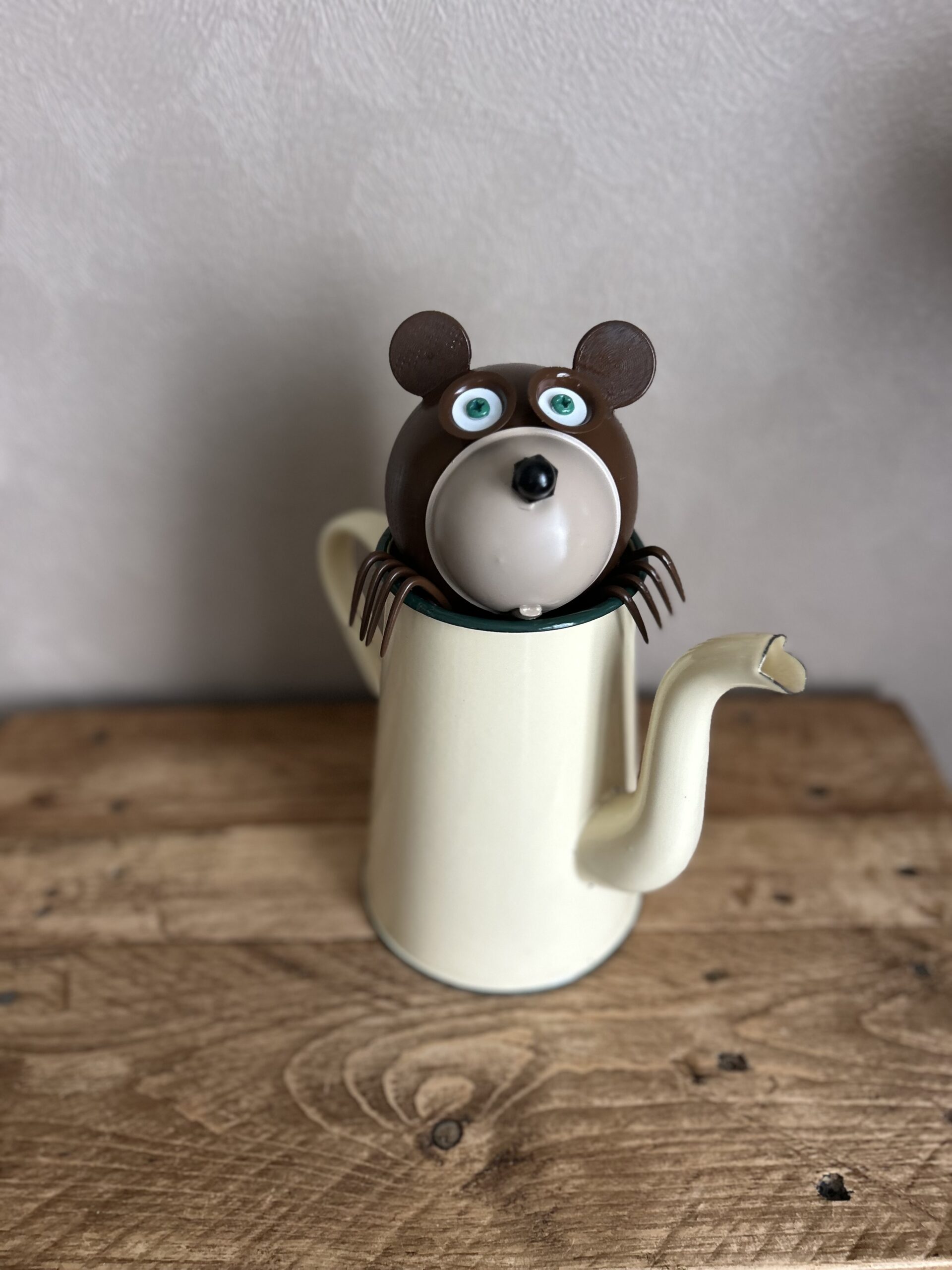 L’ours brun curieux