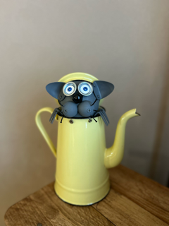 Chat curieux pot jaune